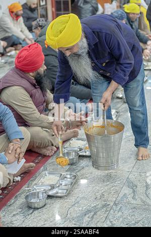 Ein Freiwilliger in einem Sikh-Tempel hilft den Gästen im Langar, einem Ort, an dem jeder eine kostenlose vegetarische Mahlzeit erhalten kann. In South Richmond Hill, Queens, NY Stockfoto
