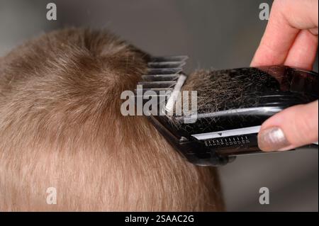 Haarschnitte aus blondem Haar für einen Jungen mit einem Haarschneider, Nahaufnahme. Haarpflegekonzept. Mutter schneidet dem Sohn zu Hause mit einem Haarschneider die Haare. Stockfoto