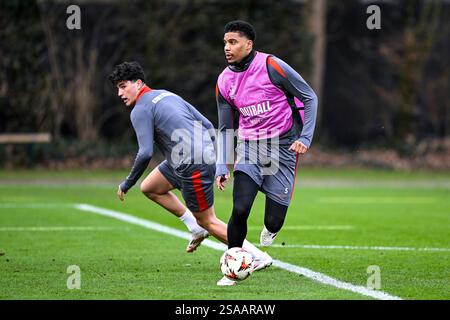 Frankfurt Am Main, Deutschland. Januar 2025. Aurele Amenda (Eintracht Frankfurt, #05) am Ball, GER, Abschlusstraining, Eintracht Frankfurt, Fußball, UEFA Europa League, 8. Spieltag, Spielzeit 2024/25, 29.01.2025. Foto: Eibner-Pressefoto/Florian Wiegand Credit: dpa/Alamy Live News Stockfoto