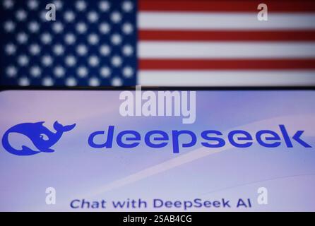 HANGZHOU, CHINA - 29. JANUAR 2025 - Ein Illustrationsfoto zeigt das DeepSeek Logo mit US-Flagge in Hangzhou, Provinz Zhejiang, China, 29. Januar 2025. Stockfoto
