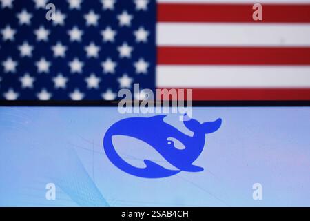 HANGZHOU, CHINA - 29. JANUAR 2025 - Ein Illustrationsfoto zeigt das DeepSeek Logo mit US-Flagge in Hangzhou, Provinz Zhejiang, China, 29. Januar 2025. Stockfoto