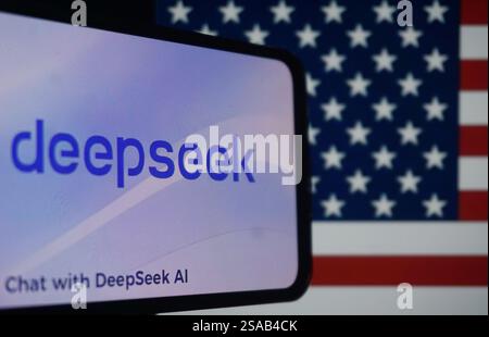 HANGZHOU, CHINA - 29. JANUAR 2025 - Ein Illustrationsfoto zeigt das DeepSeek Logo mit US-Flagge in Hangzhou, Provinz Zhejiang, China, 29. Januar 2025. Stockfoto