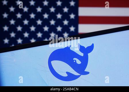 HANGZHOU, CHINA - 29. JANUAR 2025 - Ein Illustrationsfoto zeigt das DeepSeek Logo mit US-Flagge in Hangzhou, Provinz Zhejiang, China, 29. Januar 2025. Stockfoto