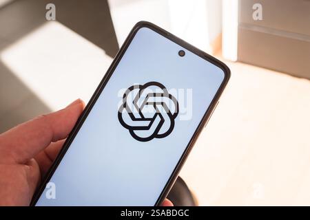 Slowenien, Ljubljana - 29. Januar 2025: OpenAI-Logo wird auf dem Smartphone-Bildschirm angezeigt Stockfoto