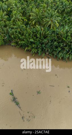 Blick aus der Vogelperspektive auf den vietnamesischen Wald im Mekong-Delta, der von Palmen umgeben ist, die sich bis zum Horizont erstrecken. Typische vietnamesische Boote. Vietnam Stockfoto