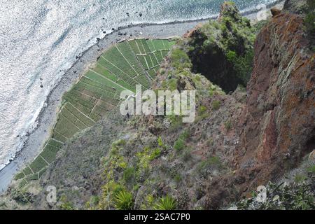 Blick von Gabo Girao, Madeira Stockfoto