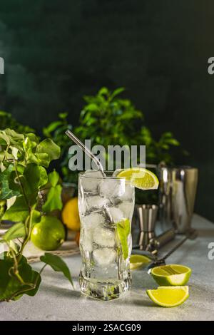 Gin-Tonic-Cocktail, der in einem Highball-Glas mit Eis, Limettenkeil und Metallstroh serviert wird, perfekt für einen heißen Sommertag Stockfoto