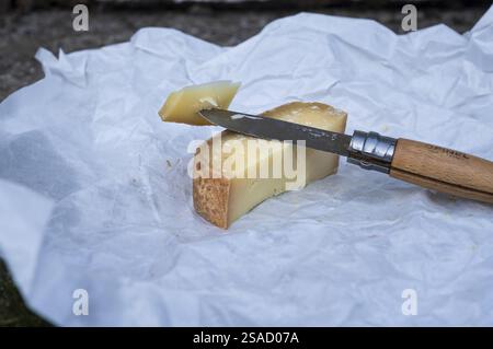 Ein Stück AOP Ossau-Iraty-Käse, ein Pyrenäen-Bergkäse aus Schafmilch, Oberes Ossau-Tal, Laruns, Bär, Pyrenäen-Atlantiques, Nouvelle- Stockfoto