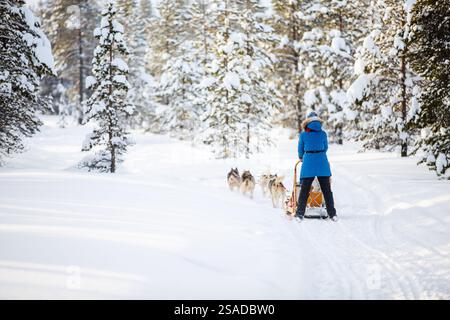 Rückansicht einer jungen Schlittenfahrerin mit Huskyhunden in Lappland Finnland Stockfoto