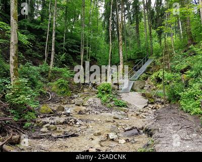Feuersteinschlucht, Münchner Jakobsweg, Bayern, Deutschland im Sommer Stockfoto