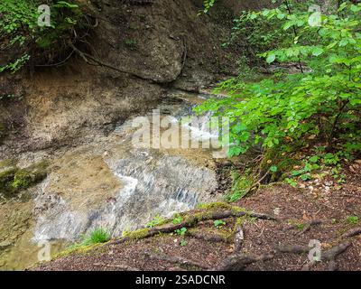 Feuersteinschlucht, Münchner Jakobsweg, Bayern, Deutschland im Sommer Stockfoto
