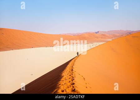 Blick aus einem hohen Winkel auf den Mann, der die berühmte rote Sanddüne Big Daddy in Sossusvlei Namibia erklimmt Stockfoto