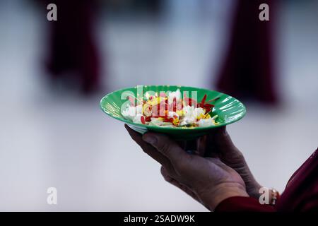 Thien Quang buddhistische Pagode. Blumenblätter für die Vesak-Feier. Tan Chau. Vietnam. Stockfoto