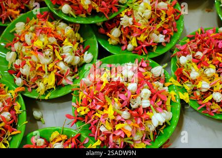Thien Quang buddhistische Pagode. Blumenblätter für die Vesak-Feier. Tan Chau. Vietnam. Stockfoto