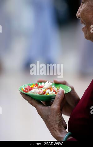 Thien Quang buddhistische Pagode. Blumenblätter für die Vesak-Feier. Tan Chau. Vietnam. Stockfoto