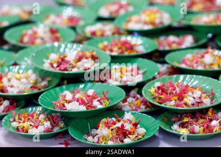 Thien Quang buddhistische Pagode. Blumenblätter für die Vesak-Feier. Tan Chau. Vietnam. Stockfoto