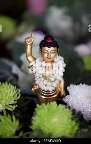 Thien Quang buddhistische Pagode. Die Buddha-Statue des Säuglings zeigt nach Norden. Am Vesak-Tag gedenken die Buddhisten: Die Geburt, die Erleuchtung und den Tod o Stockfoto