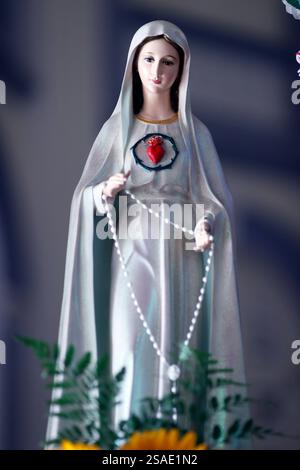 St. Francis Xavier, katholische Kirche. Unsere Lieben Frau vom Rosenkranz von Fatima. . Farbton. Vietnam. Stockfoto
