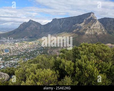 Signal Hill Wanderung mit Blick auf den Tafelberg Stockfoto
