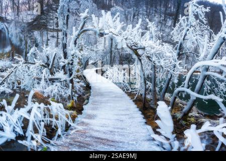 Brücke in Eis, gefrorene Äste mit Eiszapfen auf Bäumen und Büschen Stockfoto