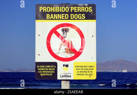 Hunde, die vom Strandschild verboten sind - Prohibido perros - Corralejo, Fuerteventura, Kanarische Inseln, Spanien, Europa, EU. Vom November 2024 Stockfoto
