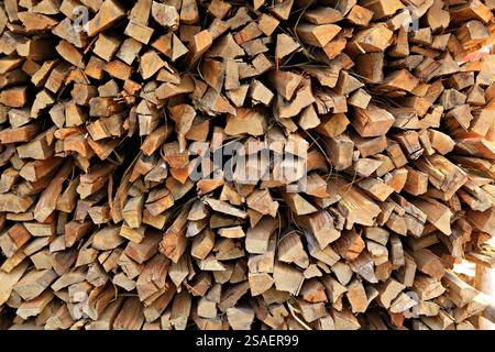 Vorbereitung von Brennholz für den Winter und Verwendung zum Kochen, Brennholz Hintergrund, Stapel von Brennholz im Wald Stockfoto