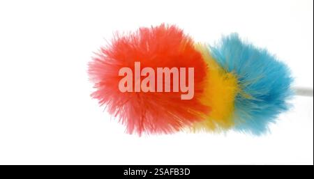 Farbenfrohes Staubbild mit roten, gelben und blauen Federn auf weißem Hintergrund Stockfoto