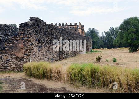 Die Ruinen des Fasil Ghebbi (königliche Gehege) in Gondar, Äthiopien. Stockfoto