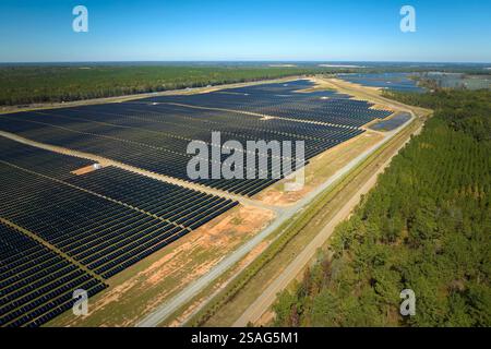 Luftaufnahme eines großen nachhaltigen Elektrokraftwerks mit vielen Reihen von Photovoltaik-Solarzellen zur Erzeugung sauberer elektrischer Energie. Erneuerbar Stockfoto