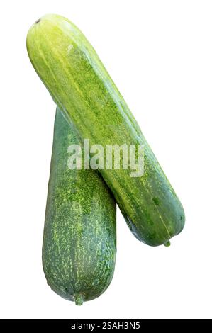 Die Draufsicht von zwei langen grünen Gurken in Stapelform und Kreuzform in vertikaler Form ist auf weißem Hintergrund mit Beschneidungspfad isoliert. Stockfoto