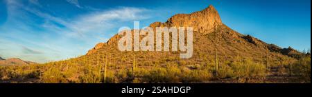 Erleben Sie die Schönheit der Abenddämmerung im Picacho Peak State Park mit Saguaro-Kakteen und majestätischen Bergen in der Sonora-Wüste. Stockfoto