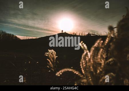 Silhouetten von Menschen auf einem Hügel gegen Sonnenuntergang. Trockenes Pampasgras bei bewölktem Wetter. Herbstlandschaft des botanischen Gartens. Tierwelt Natur Stockfoto