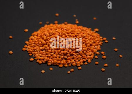 Rote Linsen stapeln. Trockene orangene Linsenkörner, Haufen von Dal, Dhal, Masoor, Lens culinaris oder Lens esculenta auf dunklem Hintergrund. Stockfoto