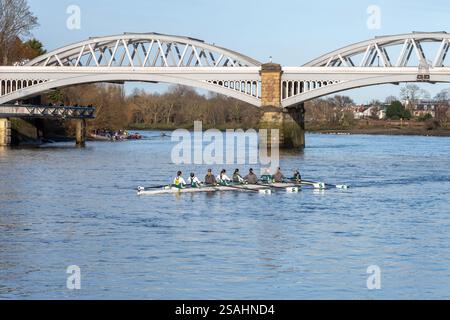 Blick auf die Barnes Bridge (Barnes Railway Bridge) über die Themse, London Borough of Richmond-upon-Thames, England, Großbritannien, mit Frauen, die Achter rudern Stockfoto