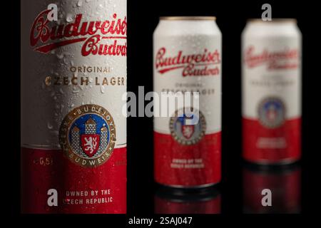 Dnipro, Ukraine 14. november 2023: Budweiser Budvar Lagerbier aus Aluminium in Dose mit Wassertropfen auf schwarzem Hintergrund. Budweiser wird von der Budweiser BU hergestellt Stockfoto