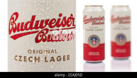 Dnipro, Ukraine 14. november 2023: Budweiser Budvar Lagerbier aus Aluminium in Dose mit Wassertropfen auf weißem Hintergrund. Budweiser wird von der Budweiser BU hergestellt Stockfoto