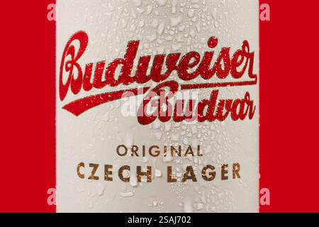 Dnipro, Ukraine 14. november 2023: Budweiser Budvar Lagerbier aus Aluminium in Dose mit Wassertropfen auf rotem Hintergrund. Budweiser wird von Budweiser Budv hergestellt Stockfoto