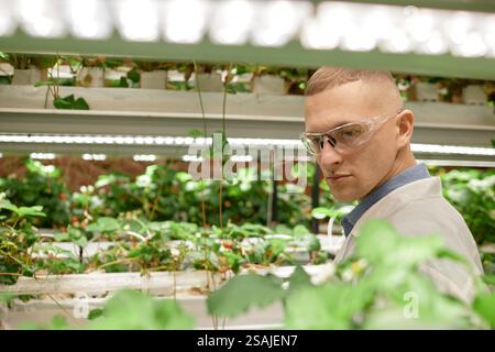 Wissenschaftler mit Schutzbrille untersuchen sorgfältig hydroponische Pflanzen in modernen Gewächshäusern, die mit verschiedenen Grünpflanzen und fortschrittlichen Anbausystemen gefüllt sind Stockfoto