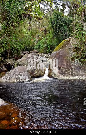 Kleiner Wasserfall im tropischen Regenwald, Teresopolis, Rio de Janeiro, Brasilien Stockfoto