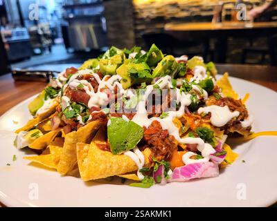 Lebendige Nachos mit Avocado und Pulled Meat aus nächster Nähe Stockfoto