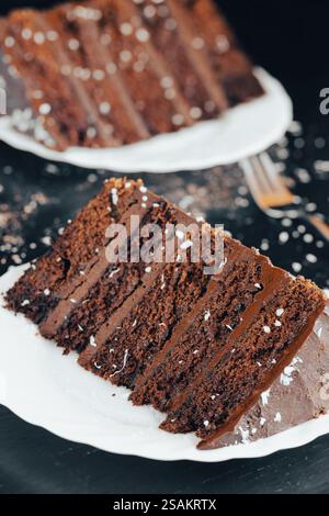 Nahaufnahme einer Scheibe reichhaltigen Schokoladenkaffee auf einer weißen Platte mit feuchten Schichten und cremigem Schokoladenfrosting Stockfoto