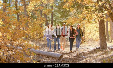 Weitwinkelaufnahme Einer Gruppe Junger Freunde Im Freien, Die Den Herbst Oder Den Herbstspaziergang Im Wald Genießen Stockfoto