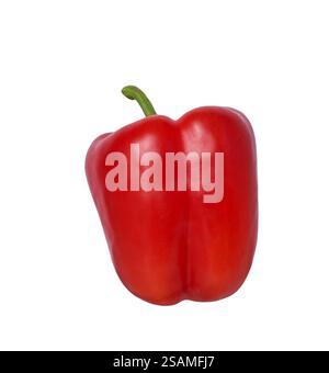Rote Paprika isolierter Ausschnitt auf weiß Stockfoto
