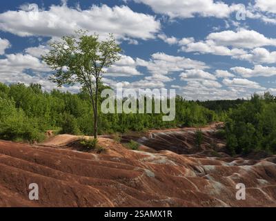 Cheltenham Badlands Ontario Kanada im Sommer landschaftlich reizvoll. Marsähnliche Landschaft, geformt aus rot-grau erodiertem Ton Stockfoto