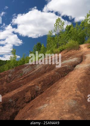 Cheltenham Badlands Ontario Kanada im Sommer landschaftlich reizvoll. Drammatische Landschaft aus rotem und grauem, trockenerodiertem Ton und gesäumt von grünen Bäumen Stockfoto