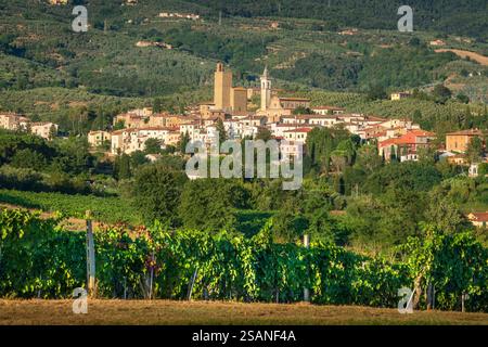 Vinci Dorf, Leonardo da Vinci Geburtsort und Weinberge. Provinz Florenz, Toskana, Italien, Europa Stockfoto