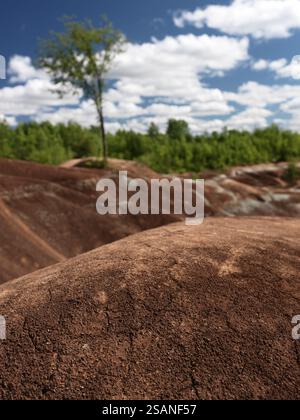 Cheltenham Badlands Ontario Kanada im Sommer landschaftlich reizvoll. Marsähnliche Landschaft, geformt aus rot-grau erodiertem Ton Stockfoto