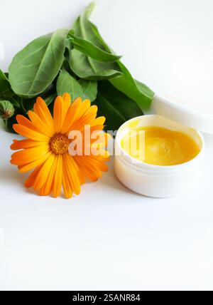 Calendula-Creme und Calendula officinalis-Blüten isoliert auf weißem Hintergrund. Gelbe Ringelblumen blühen. Kopierbereich. Stockfoto