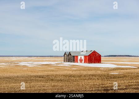 Kanadische Flagge mit dem legendären roten Ahornblatt, gemalt auf einer alten Scheune, inmitten von ernteten Heufeldern, in der Landschaft im Norden Albertas. Stockfoto