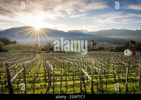 Sonnenaufgang über Weinbergen in Südtirol Stockfoto